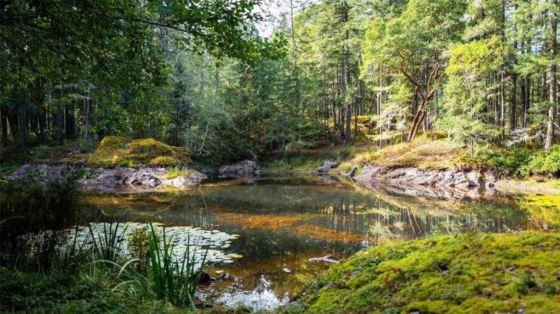 第32幅图片