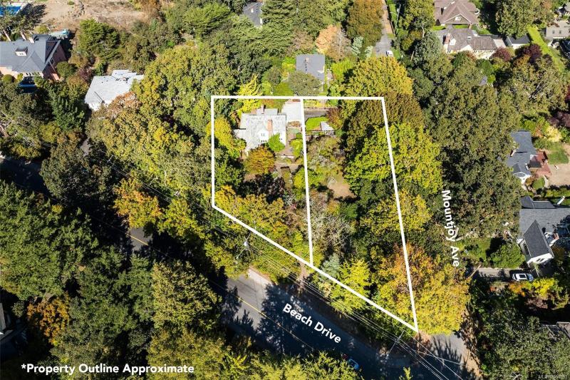 第3幅图片