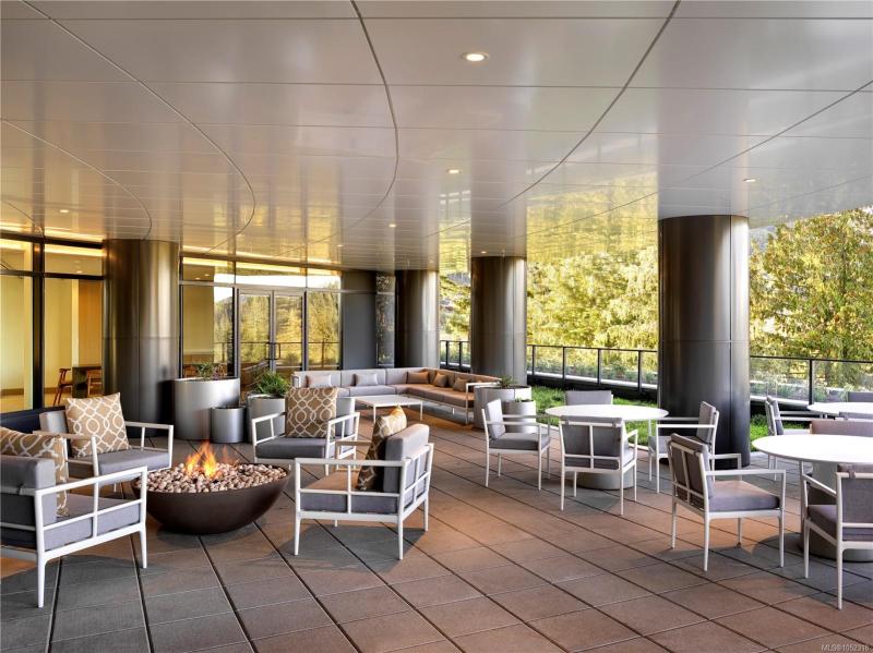 第16幅图片