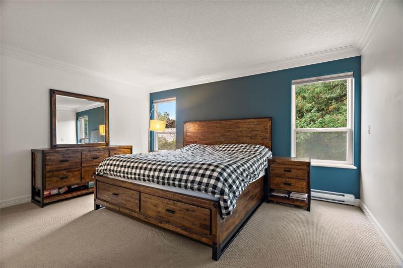 第19幅图片