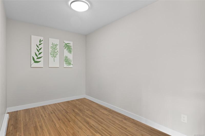 第13幅图片