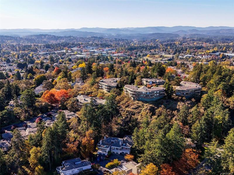 第33幅图片