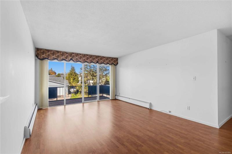 第6幅图片