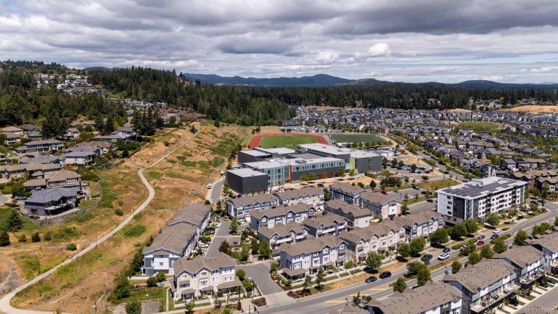 第36幅图片