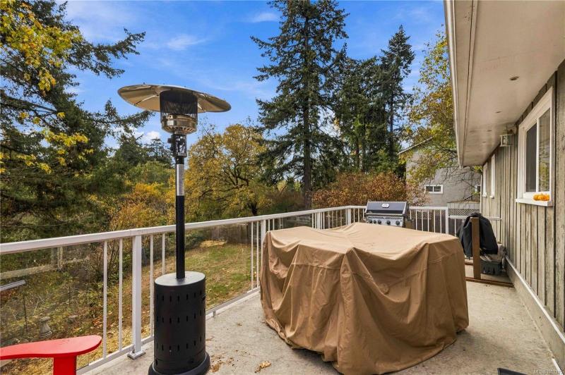 第18幅图片